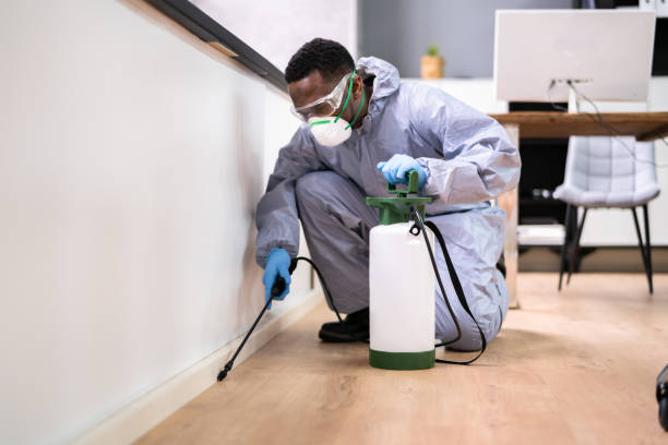 Best Pest Prevention Services  in Nederland, CO